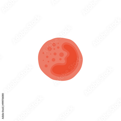 Basophil illustration 