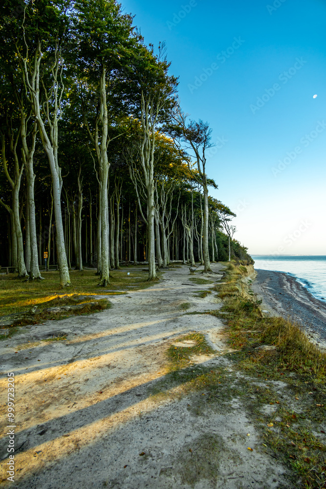 Unterwegs am Ostsee Strand von Nienhagen am mystischen Gespensterwald - Mecklenburg Vorpommern - Deutschland