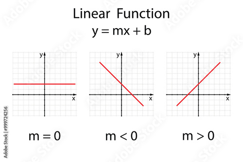 Linear Function on the white background. Education. Graphic diagram. School. Formula. Vector illustration.