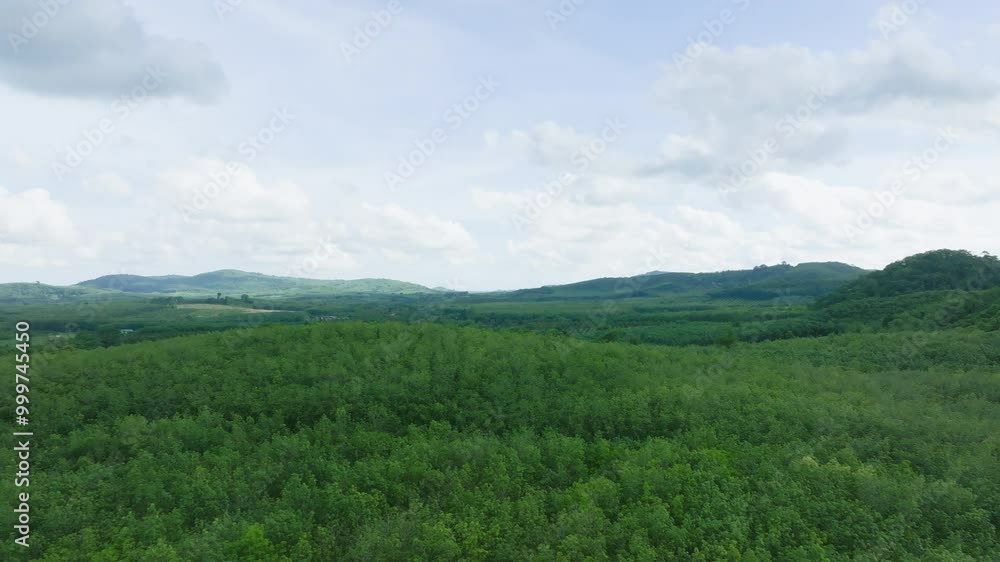 Expansive Green Landscape View From High Ground Showcasing Lush Forests and Rolling Hills in Daytime Tranquility Expansive Green Landscape View From High Ground Showcasing Lush Forests and Rolling Hills in Daytime Tranquility