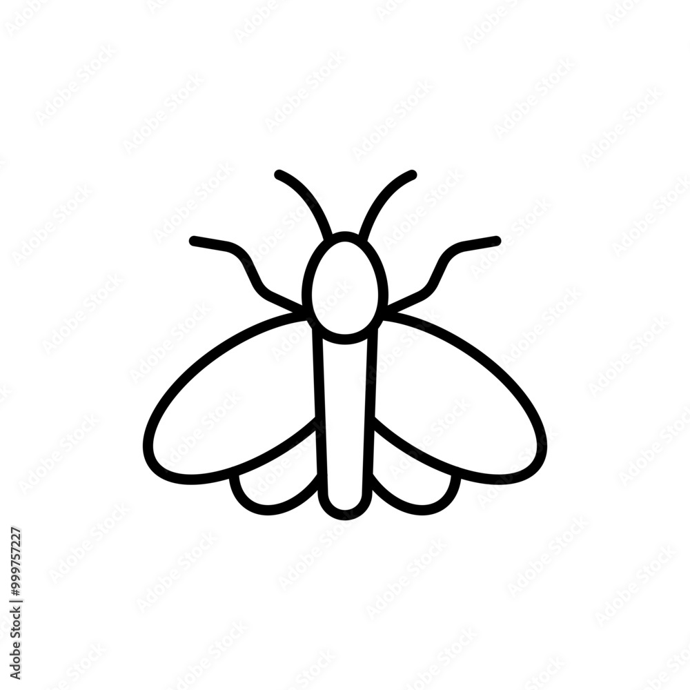 Moth outline icons, minimalist vector illustration ,simple transparent graphic element .Isolated on white background Moth outline icons, minimalist vector illustration ,simple transparent graphic element .Isolated on white background