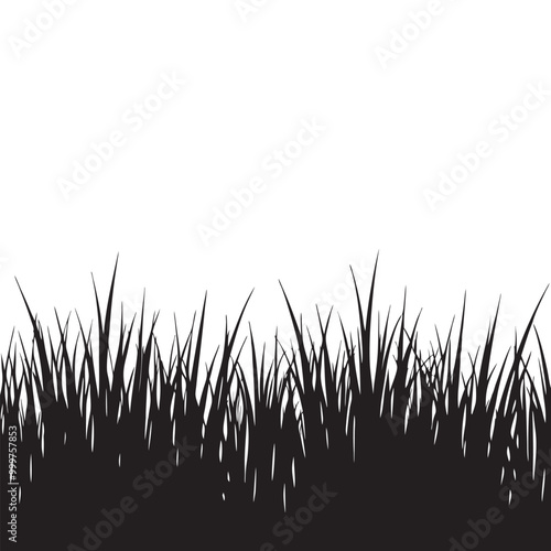 Seamless realistic illustration of a grass stalk or lawn, isolated on a white background, vector