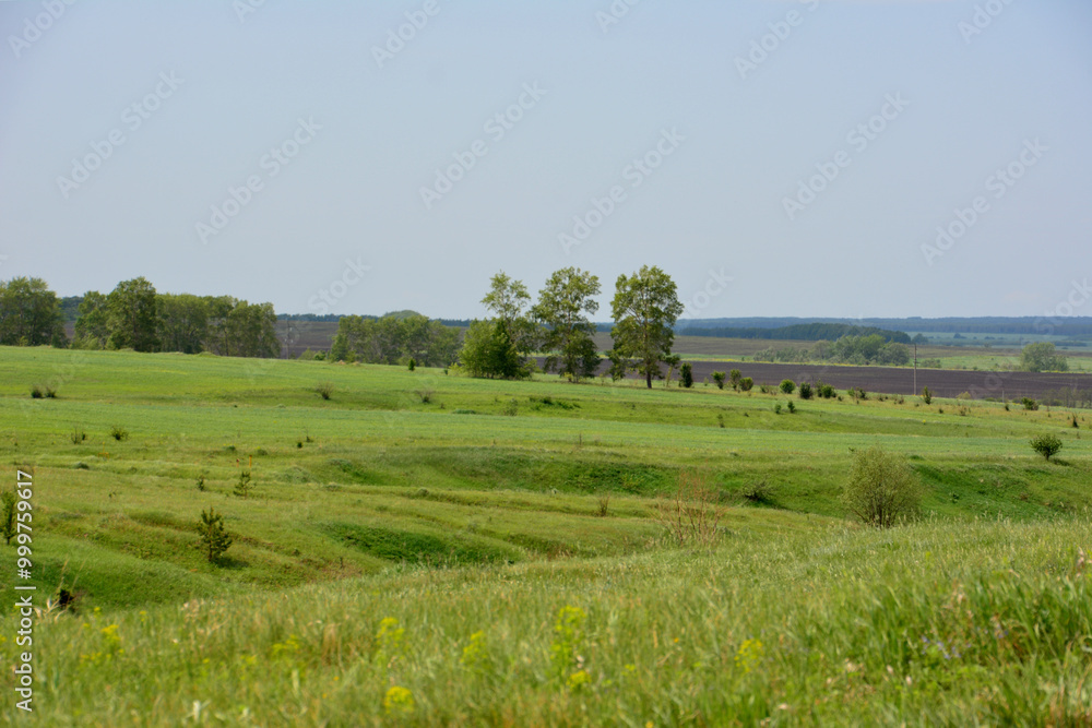 a valley and a plowed field with trees in the background a valley and a plowed field with trees in the background