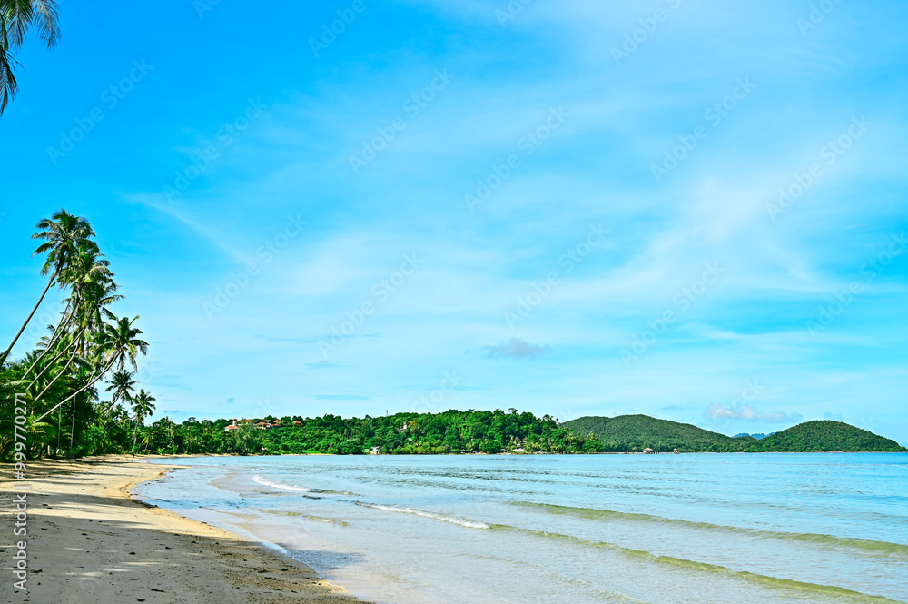 Koh Mak Island Trad in Thailand, Coconut tree at beach with soft wave