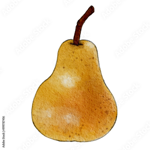 hand draw pear on watercolor texture. pear isolated on white