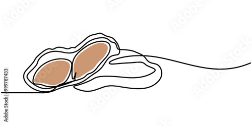 Peanut simple vector drawing. One continuous line art border, background, label design, Peanuts Drawing, One continuous line drawing of whole healthy organic peanut for snack product logo identity.