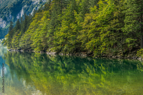 lake water and forest trees reflections. clear water vibrant colors. mountains. beauty in Nature.