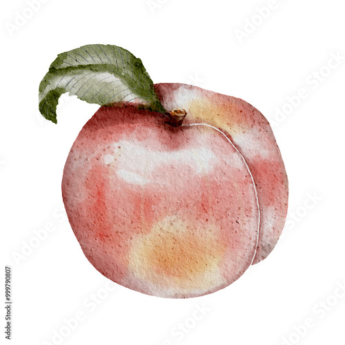 Hand draw peach on watercolor texture. Watercolor texture cute peach. Drawing peach. Peach with leaf