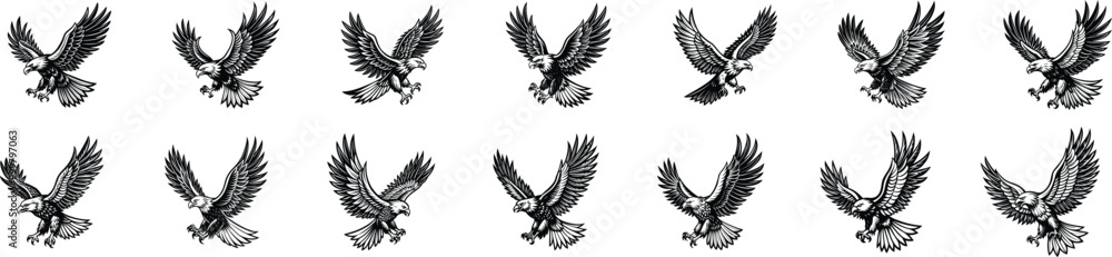 Fototapeta premium silhouette isolated on white