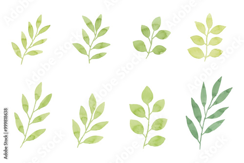 Assortment of watercolor leaves illustration set - green leaf branches collection for wedding, greetings, stationary, wallpapers, fashion, background. olive, green leaves, Eucalyptus etc