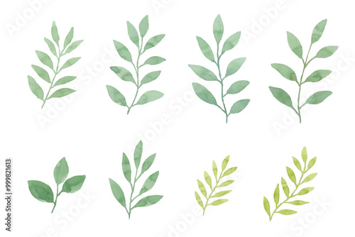 Assortment of watercolor leaves illustration set - green leaf branches collection for wedding, greetings, stationary, wallpapers, fashion, background. olive, green leaves, Eucalyptus etc