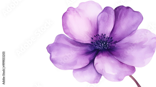 Watercolor violet, soft purple petals, isolated on white, gentle brushstrokes, delicate design., ready to bring joy to any space , cartoon drawing, water color style