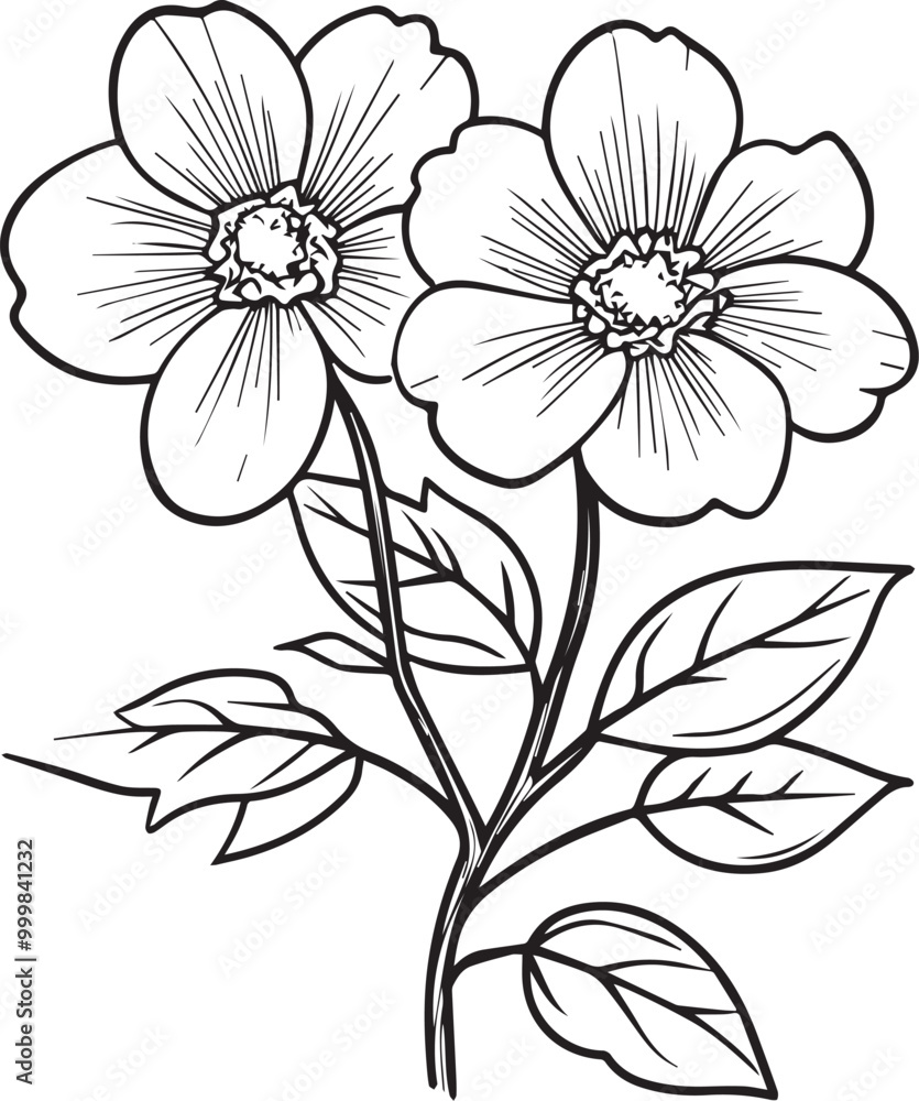 Floral flower outline vector art on a white background, Black outline drawing of floral flowers. Floral flower outline vector art on a white background, Black outline drawing of floral flowers.