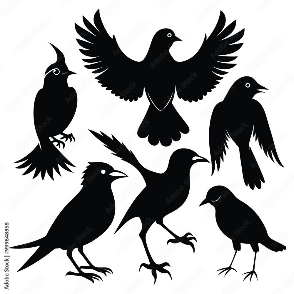 Obraz premium Set Of Silhouettes Of Birds Vector Illustration