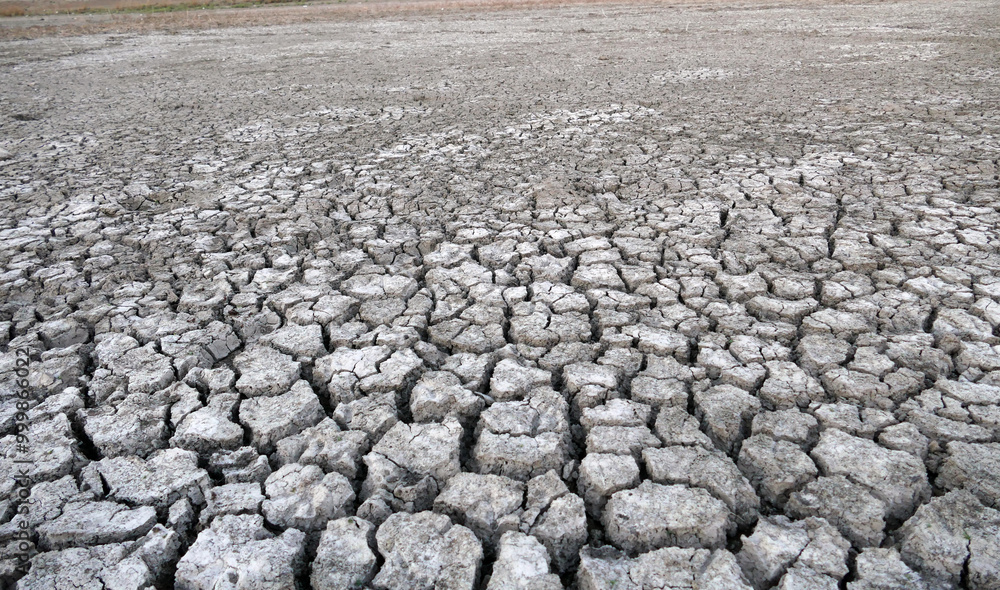Close-up: deep splitting and cracking of the soil as a result of the decrease in water,