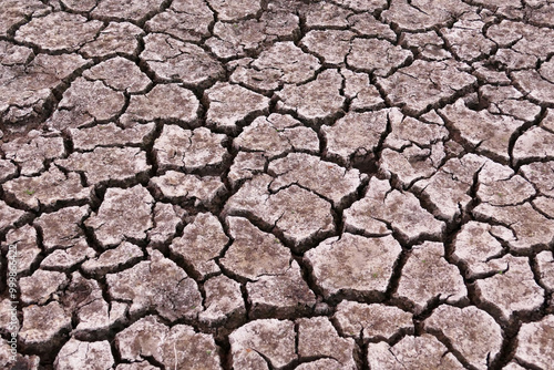 Obraz na płótnie decrease in water levels and large-scale cracking of the soil as a result of drought, soil cracking as a result of drought w salonie