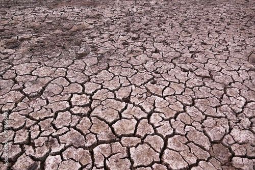 decrease in water levels and large-scale cracking of the soil as a result of drought, soil cracking as a result of drought