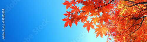 秋晴れと紅葉の風景