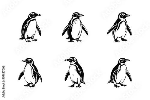 penguin silhouette minimal artwork set. collection of penguin logo icon