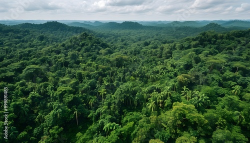 Drone Surveillance for Wildlife Protection in Lush Tropical Forests