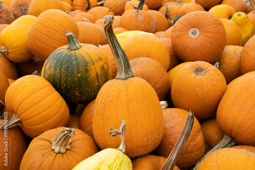 pile of pumpkins