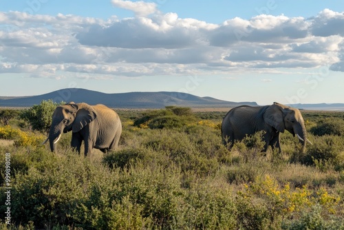 Two elephants in the field of south africa..generative ai