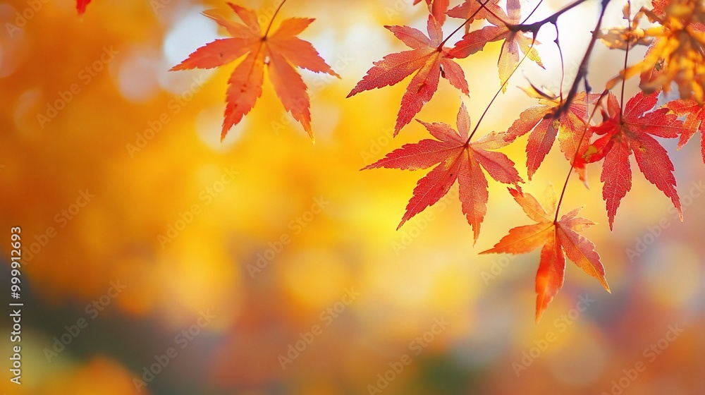 Vibrant Autumn Leaves in Stunning Detail Vibrant Autumn Leaves in Stunning Detail