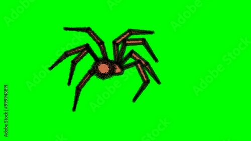 2d animated character of Shaking and walking of the eight-legged, brown spider to the side or from an angle facing or behind, spider man . in green screen background chroma key.