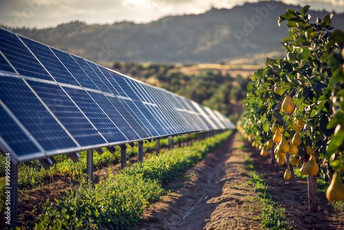 Solar Fruit Plantation. Large-scale solar panel installation in pear orchard with mountains in background, illustrating harmonious integration of agriculture and renewable energy. photo