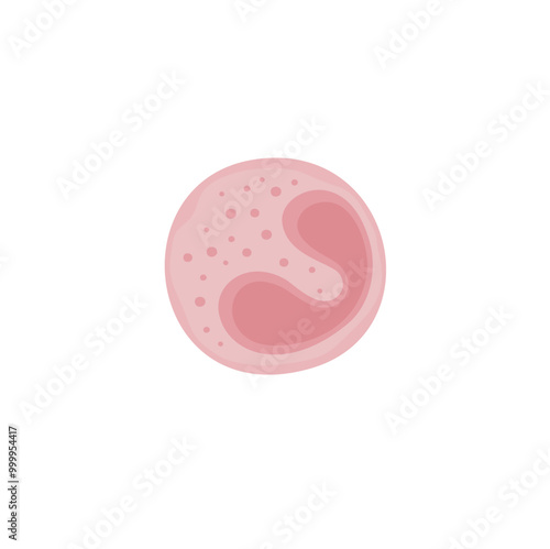 Eosinophil Vektor Illustration 