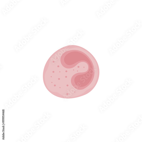 Eosinophil Vektor Illustration 