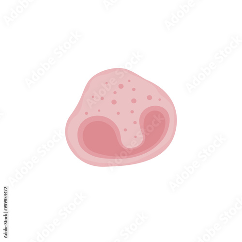 Eosinophil Vektor Illustration 