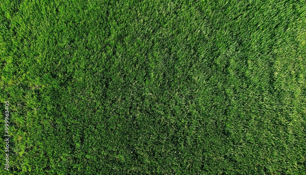 Fototapeta premium Green grass texture. Golf course view from above. The background is a lush football lawn. Artificial synthetic lawn for sports. green grass texture