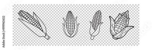 Corn stalk vector simple design icon