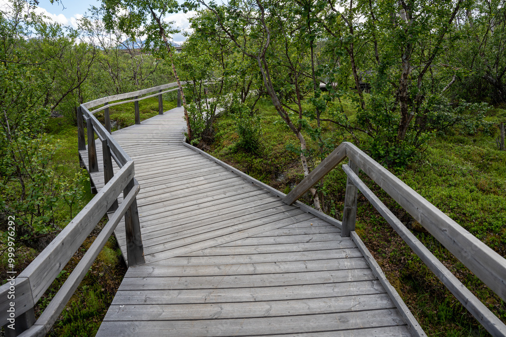 Wooden footbridge in Abisko river canyon in Abisko National Park, Sweden Wooden footbridge in Abisko river canyon in Abisko National Park, Sweden