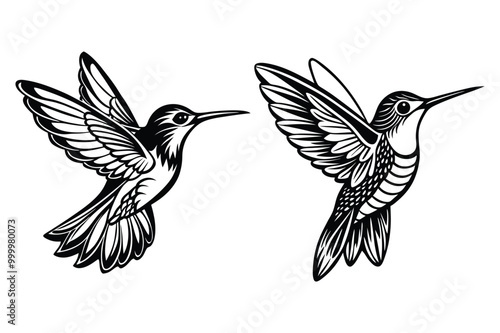 This is hummingbird vector illustration design