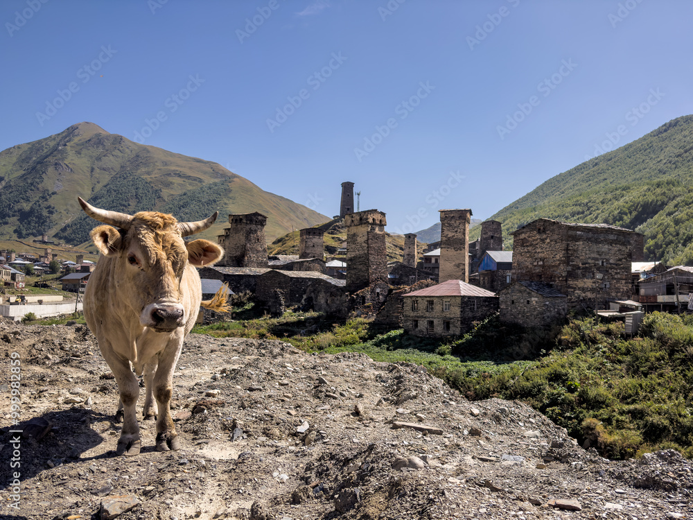Svaneti Cow with Village Towers