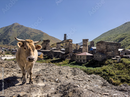 Obraz na płótnie Svaneti Cow with Village Towers w salonie