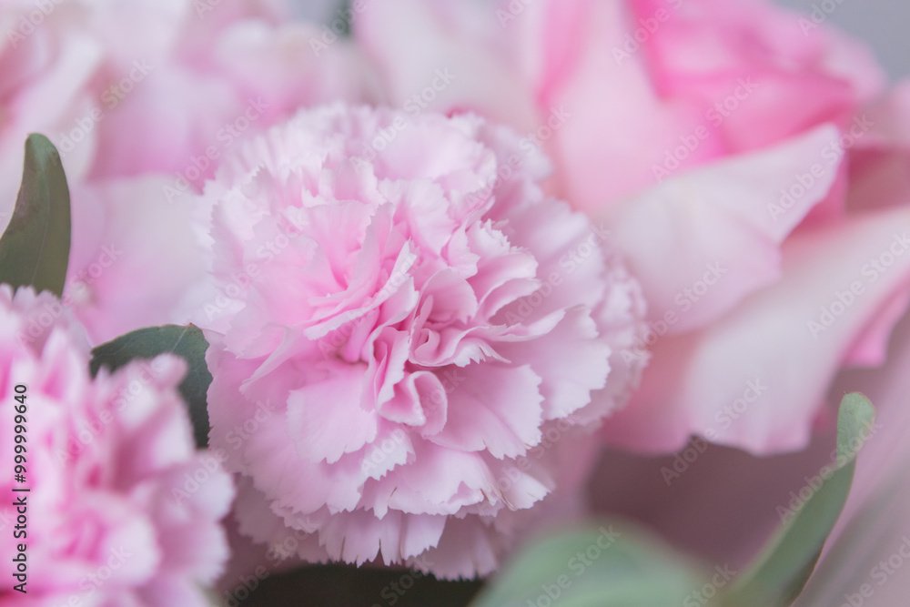 Soft pink floral bouquet with roses and carnations wrapped in pastel paper Soft pink floral bouquet with roses and carnations wrapped in pastel paper