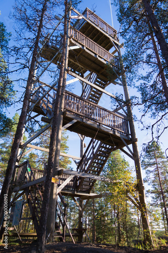 Wooden observation deck deep in the forest.