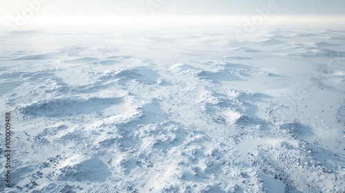 Snowy Landscape: A Frozen Wilderness
