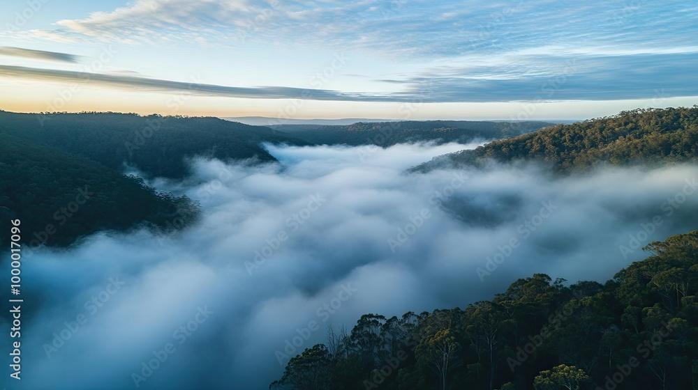 Fototapeta premium An aerial view of a sea of fog covering a forested valley, with a large area of the sky and fog for adding text.