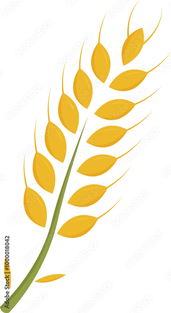 Rice Wheat cereal graphic element flat color illustration design Rice Wheat cereal graphic element flat color illustration design
