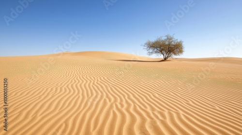 A tree is standing in the middle of a desert. The sky is clear and blue, and the sand is dry and golden. The scene is peaceful and serene, with the tree providing a sense of life