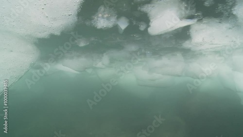 Wallpaper Mural A block of ice drifts below the surface, slowly moving with the ocean currents. Filmed from a close-up angle, showcasing the cold, blue underwater environment. Check my portfolio for more drifting ice Torontodigital.ca