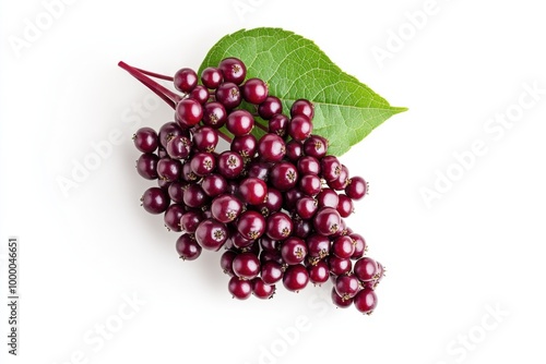 Vibrant Wild American Pokeweed Berries on White photo