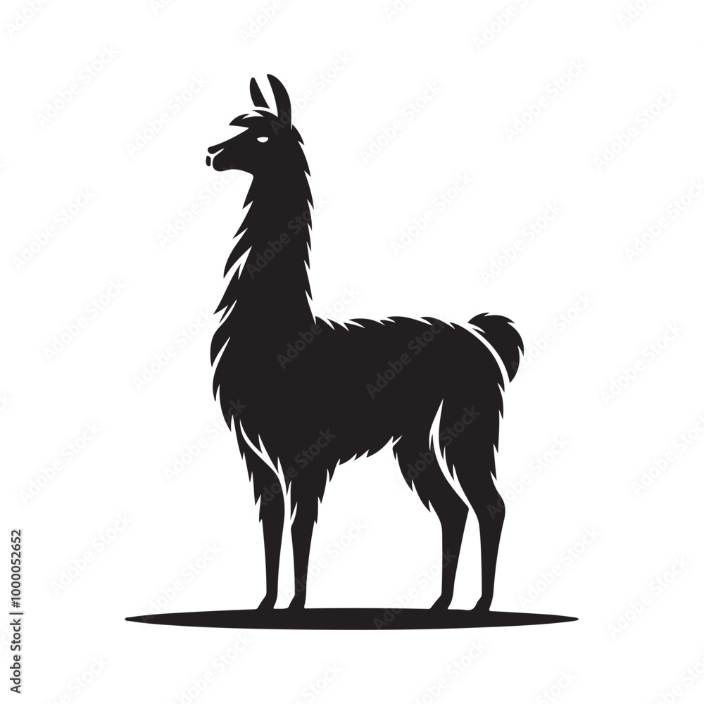 Fototapeta premium Llama Silhouette, Stylish icon, template, background, tattoo. Print for t-shirt. Hand drawn vector illustration, Llama black vector, isolated.