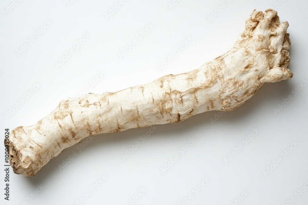 Pungent Wild Horseradish Root on White Background Pungent Wild Horseradish Root on White Background