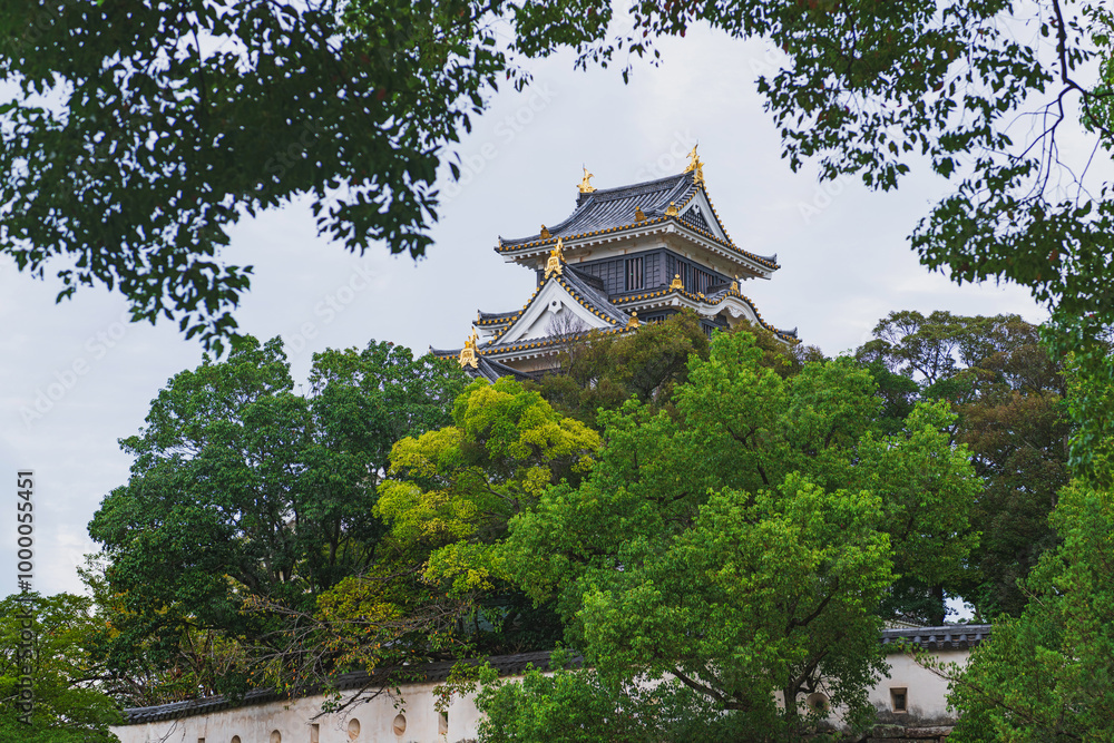 岡山城 後楽園から天守閣を望む