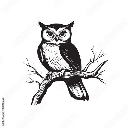 Cute owl symbol. Animal cartoon mascot. Owl vector sign. Owl icon. Owl logo design template. Vector illustration photo